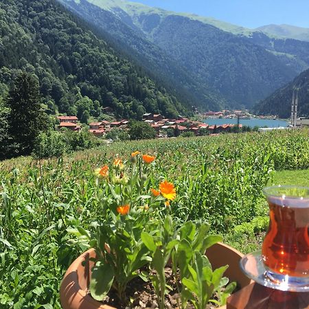 Zeren Pansiyon Kamalac Kültér fotó